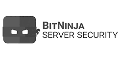 bitninja-server-security