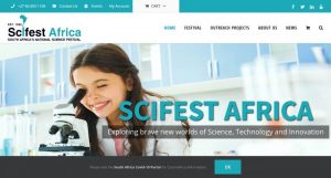 festival website design | Website Design Port Elizabeth