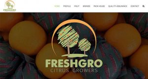 fruit export website design | Website Design Port Elizabeth