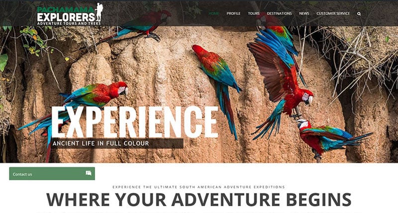 travel-website-design