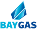 Port Elizabeth Gas Company